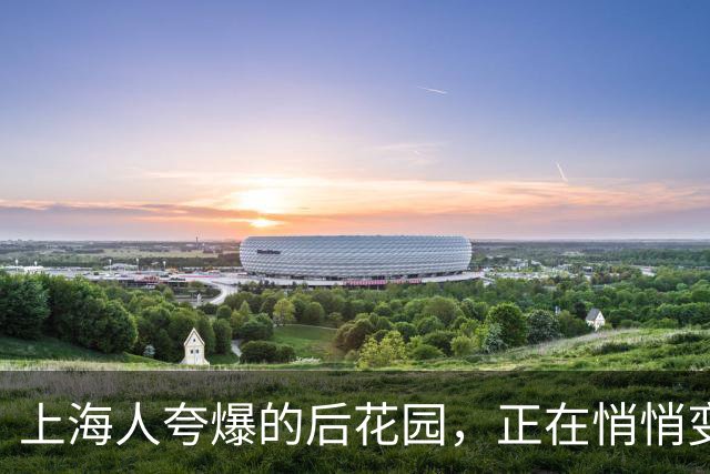上海人夸爆的后花园，正在悄悄变成“空心老人岛”