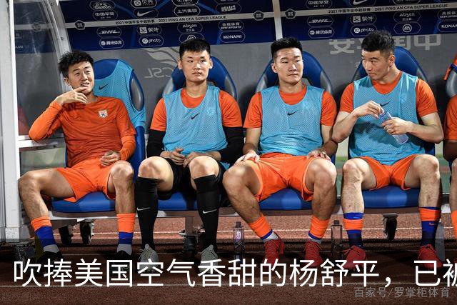 吹捧美国空气香甜的杨舒平，已被美国驱逐出境，回国后处境悲凉