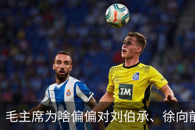 毛主席为啥偏偏对刘伯承、徐向前，嘴下留情，一个不忍说，一个没得说