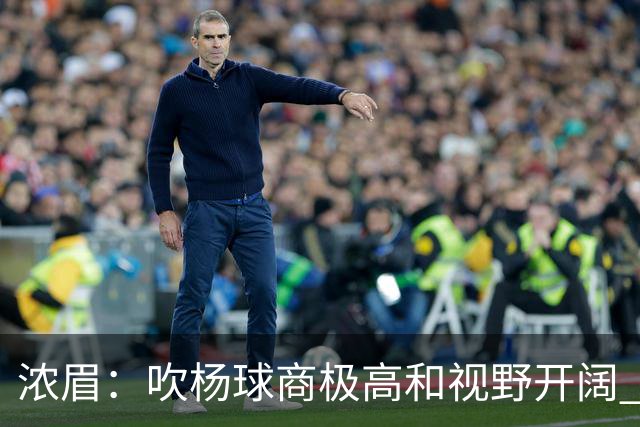 浓眉：吹杨球商极高&视野开阔 只要包夹他就会把你的防守撕碎