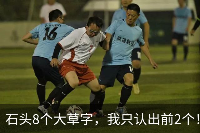 石头8个大草字，我只认出前2个！认全的值得竖大拇指。为何一句草书，常被一个生僻字拦腰截断？