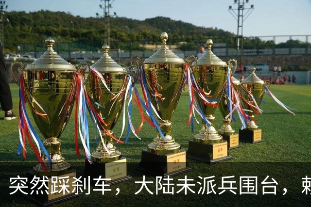 突然踩刹车，大陆未派兵围台，赖清德接到消息，收台最佳方案已出