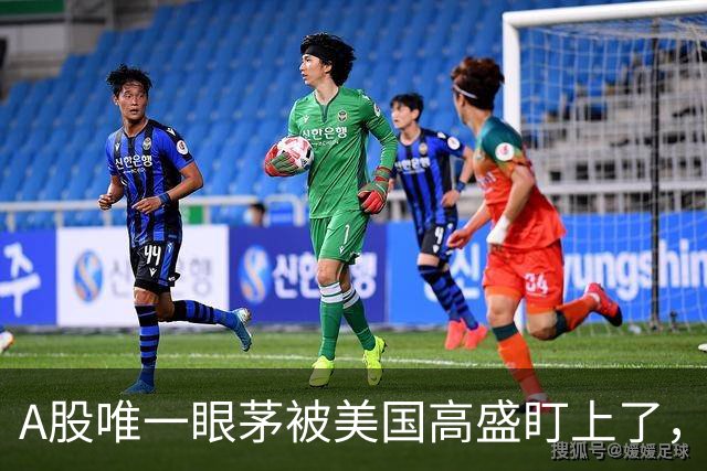 A股唯一眼茅被美国高盛盯上了，业绩暴增12962%，周五量能突然放大