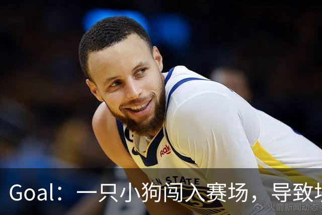 Goal：一只小狗闯入赛场，导致埃及联赛中断